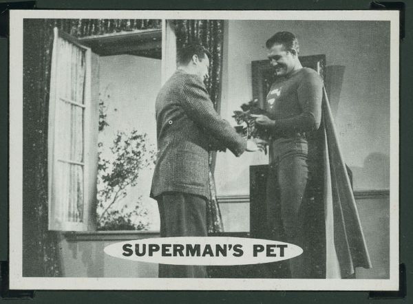 47 Superman's Pet